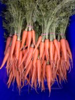 Carrots
